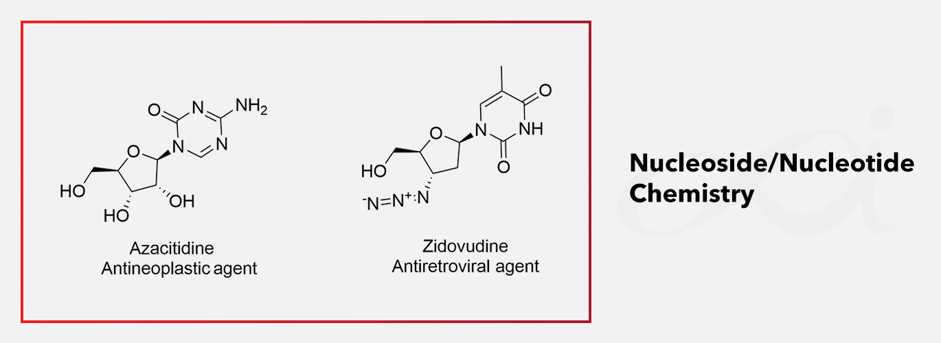 Expertise of the month: Nucleoside/Nucleotide Chemistry