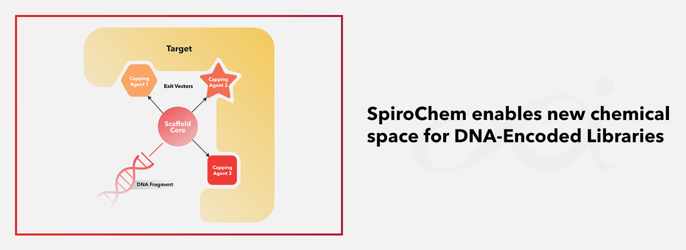 Expertise of the month: Scaffolds and capping agents diversity
