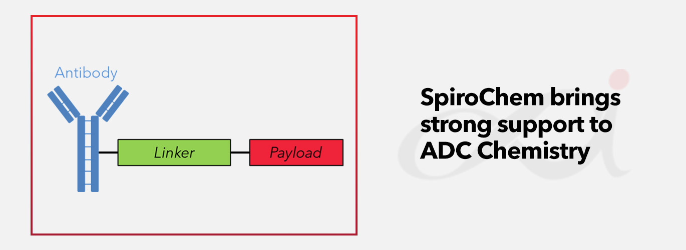 Expertise of the month: ADC chemistry