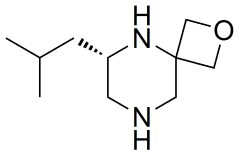 (S)-6-isobutyl-2-oxa-5,8-diazaspiro[3.5]nonane oxalate