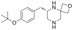 (S)-6-(4-(tert-butoxy)benzyl)-2-oxa-5,8-diazaspiro[3.5]nonane oxalate