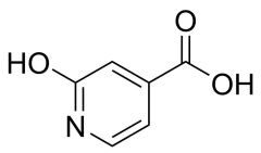 2-hydroxypyridine-4-carboxylic acid