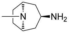 endo-8-methyl-3-amino-azabicyclo[3.2.1]octane