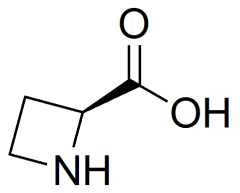 (2S)-azetidine-2-carboxylic acid