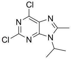 2,6-dichloro-8-methyl-9-(propan-2-yl)-9H-purine