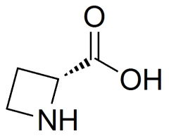 (2R)-azetidine-2-carboxylic acid