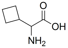 2-amino-2-cyclobutylacetic acid