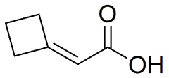 2-cyclobutylideneacetic acid