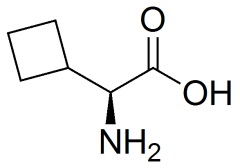 (2S)-2-amino-2-cyclobutyl-acetic acid