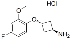 trans-3-(4-fluoro-2-methoxyphenoxy)cyclobutan-1-amine hydrochloride