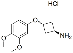 trans-3-(3,4-dimethoxyphenoxy)cyclobutan-1-amine hydrochloride
