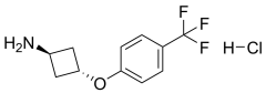trans-3-(4-(trifluoromethyl)phenoxy)cyclobutan-1-amine hydrochloride