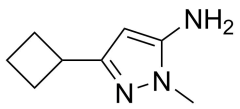 3-cyclobutyl-1-methyl-1H-pyrazol-5-amine