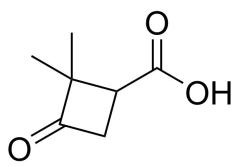 2,2-dimethyl-3-oxocyclobutane-1-carboxylic acid