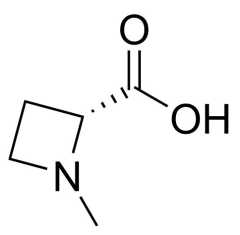 (R)-1-methylazetidine-2-carboxylic acid