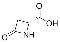(2R)-4-oxoazetidine-2-carboxylic acid