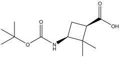 (1R,3S)-3-(tert-butoxycarbonylamino)-2,2-dimethyl-cyclobutanecarboxylic acid