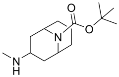 exo-3-methylamino-9-boc-9-azabicyclo[3.3.1]nonane