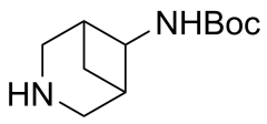 {tert}-butyl {N}-[{rac}-(1{R},5{S})-3-azabicyclo[3.1.1]heptan-6-yl]carbamate