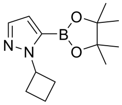 1-cyclobutyl-5-(tetramethyl-1,3,2-dioxaborolan-2-yl)-1H-pyrazole