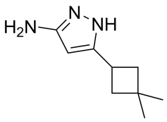 5-(3,3-dimethylcyclobutyl)-1H-pyrazol-3-amine