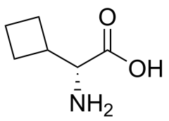 (2R)-2-amino-2-cyclobutyl-acetic acid