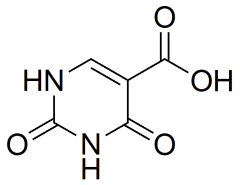 2,4-dioxo-1,2,3,4-tetrahydropyrimidine-5-carboxylic acid