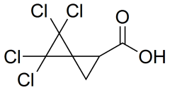 4,4,5,5-tetrachlorospiro[2.2]pentane-1-carboxylic acid