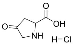 4-oxopyrrolidine-2-carboxylic acid hydrochloride