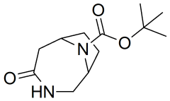 tert-butyl 4-oxo-3,9-diazabicyclo[4.2.1]nonane-9-carboxylate