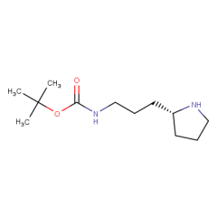 (R)-(3-PYRROLIDIN-2-YL-PROPYL)-CARBAMIC ACID TERT-BUTYL ESTER