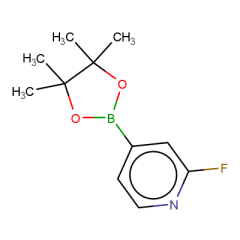 2-fluoro-4-(4,4,5,5-tetramethyl-1,3,2-dioxaborolan-2-yl)pyridine