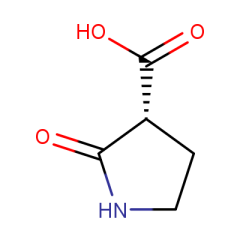 2-oxopyrrolidine-3-carboxylic acid