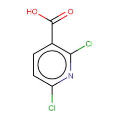 2,6-dichloropyridine-3-carboxylic acid