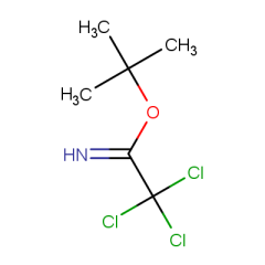 tert-butyl 2,2,2-trichloroethanecarboximidate