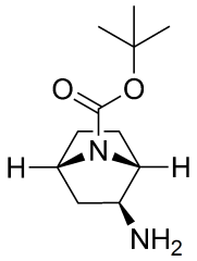 (1r,2s,4s)-rel-2-amino-7-boc-7-azabicyclo[2.2.1]heptane