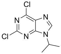 2,6-dichloro-9-(propan-2-yl)-9H-purine
