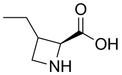 (2S)-3-ethylazetidine-2-carboxylic acid