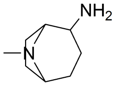 2-amino-8-methyl-8-azabicyclo[3.2.1]octane