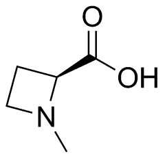(S)-1-methylazetidine-2-carboxylic acid