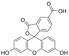 3',6'-dihydroxy-3-oxo-3H-spiro[2-benzofuran-1,9'-xanthene]-5-carboxylic acid