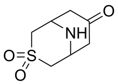 3-thia-9-azabicyclo[3.3.1]nonane-3,3,7-trione hydrochloride