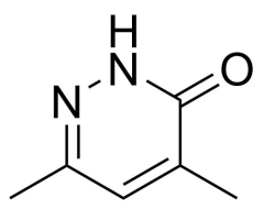 4,6-dimethyl-2,3-dihydropyridazin-3-one