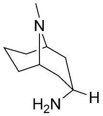 endo-3-amine-9-methyl-9-azabicyclo[3,3,1]nonane