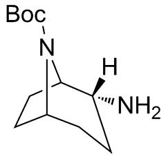 endo-8-boc-8-azabicyclo[3.2.1]octan-2-amine