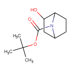 (1r,2s,4s)-rel-7-boc-7-azabicyclo[2.2.1]heptan-2-ol
