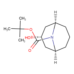 rel-tert-butyl (1R,3s,5S)-3-hydroxy-9-azabicyclo[3.3.1]nonane-9-carboxylate