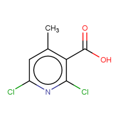 2,6-dichloro-4-methylpyridine-3-carboxylic acid