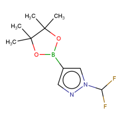 1-(difluoromethyl)-4-(tetramethyl-1,3,2-dioxaborolan-2-yl)-1H-pyrazole