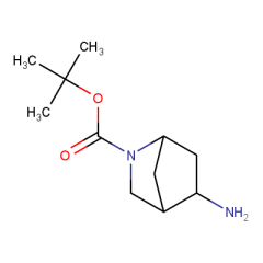 tert-butyl 5-amino-2-azabicyclo[2.2.1]heptane-2-carboxylate